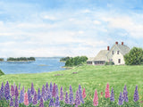 Lupine Cottage