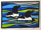Razorbills