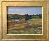 Marsh at Little Beach
