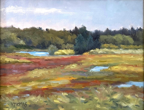 Marsh at Little Beach