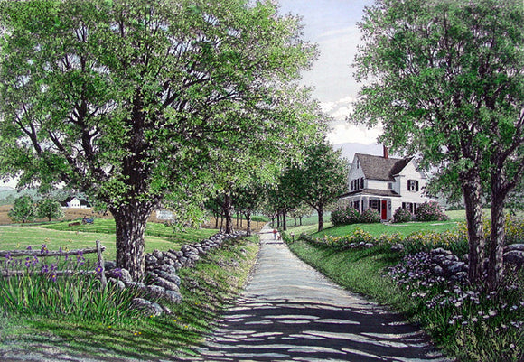 Country Road