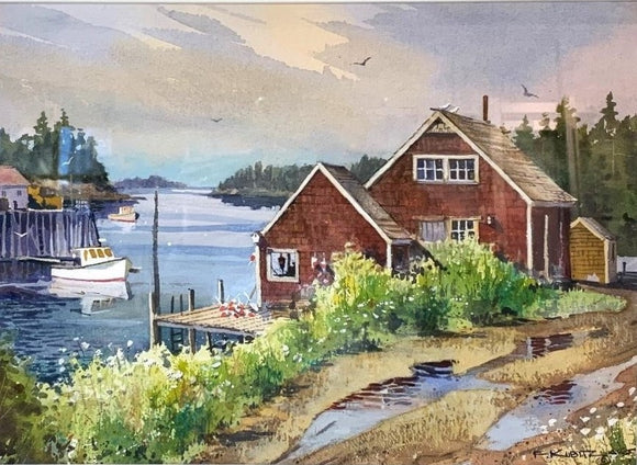 Queen Anne's Lace, Port Clyde, Maine