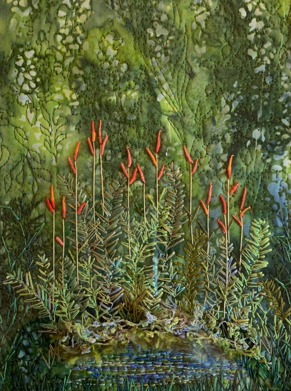 Fern Pond