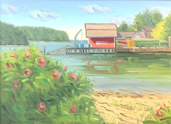 Mackerel Cove Roses