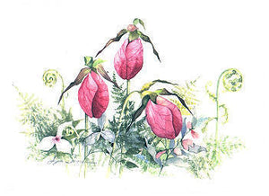 Lady Slippers